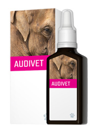 AUDIVET