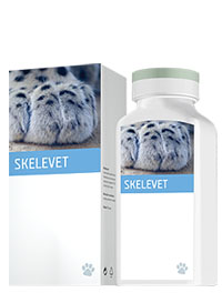 skelevet energy)