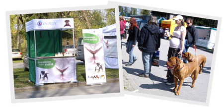 V�stava ps� v �esk�ch Bud�jovic�ch
